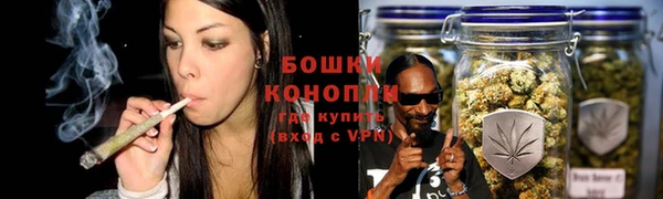 Альфа ПВП Богородск