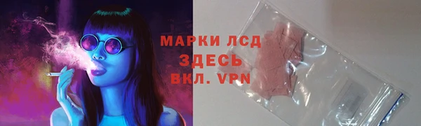 мяу мяу мука Богданович