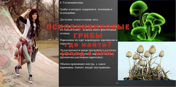 мяу мяу мука Богданович