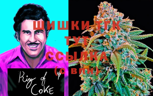 меф Богородицк