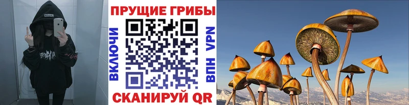 Галлюциногенные грибы мухоморы  Шумерля 